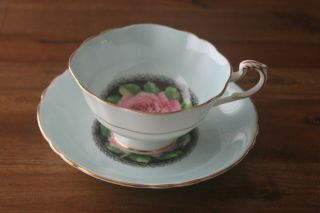 Paragon large Cabbage Pink Rose Black center Teacup Tea cup Saucer light blue 3