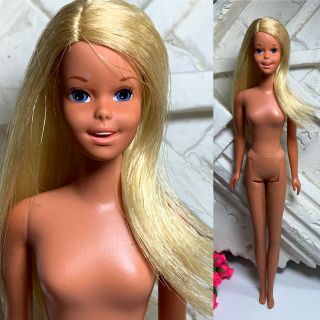 Barbie Fashion Doll Vintage Malibu Francie Nude