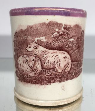 Rare 19th C Staffordshire Cream - Ware Pearlware Pink Lustre Child 