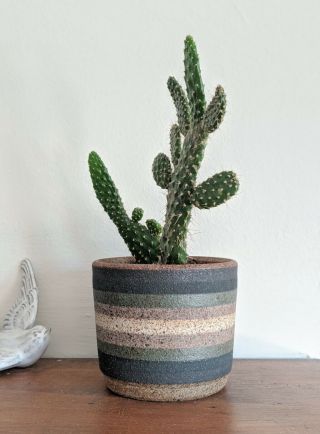 Kat And Roger Small Striped Plant Pot