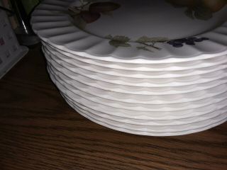 Set Of 8 Cajos Belle Terre By Mikasa Maxima Dinner Plates Size:10 3/4 " Euc