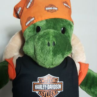 Build A Bear Green Turtle Brown Removable Shell Backpack Harley Tshirt & Bandana
