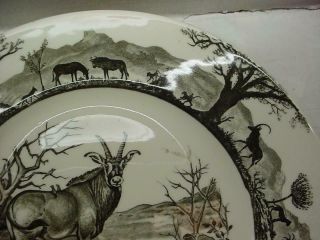 Kruger National Park Africa Roan Antelope w/ map plate by Wedgwood exc 1st ed. 2