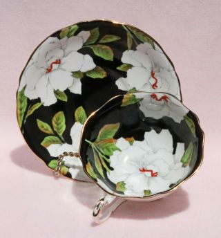 Paragon Cup And Saucer - Dw - Magnolias On Black - " To The Bride " 7767 England