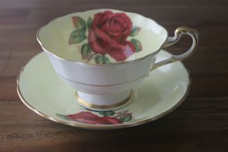 Paragon Floating Cabbage Red Rose Yellow Tea Cup Teacup Saucer Signed R.  Johnson