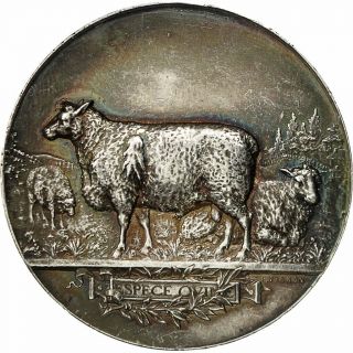 [ 552527] France,  Medal,  Société D 