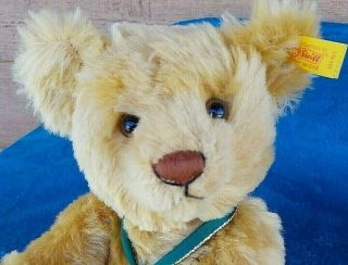 Steiff Teddy Bear 2001 Mohair Gold Medallion Danbury Button/tags 666360