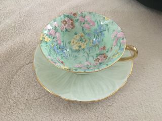 Gorgeous Shelley Melody Chintz Footed Oleander Cup And Saucer - Gold Trim