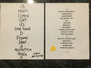 Adrian Belew Handwritten Setlist And Pick 6/8/2018 Iridium Nyc King Crimson