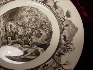 Kruger National Park Africa Leopard w/ map plate by Wedgwood exc 1st ed. 3