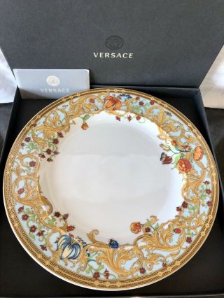 Rosenthal Dinner Plate " Le Jardin De Versace " - 10.  5 Inches
