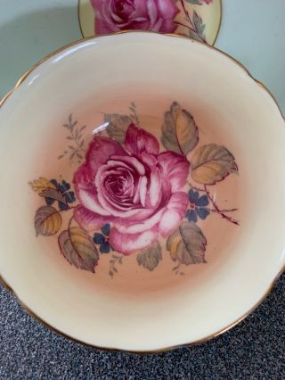 Paragon Floating Cabbage Rose Double Warrant Teacup Tea Cup And Saucer