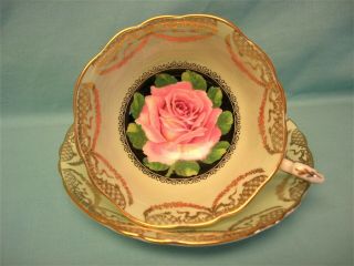Paragon Pink Cabbage Rose Gold Gilt Pale Lime Green Cup & Saucer