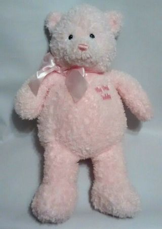 Baby Gund Pink My First Teddy Bear Stuffed Plush Toy 16 " Shaggy Chenille 58800