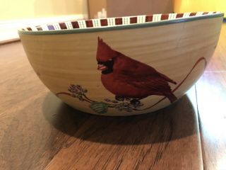 Lenox Winter Greetings Everyday 10” Large Christmas Bowl Birds Chicadee,  More