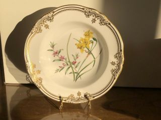 1 Spode Stafford Flowers China 9” Large Rimmed Soup Bowl Y8519 - 2 Available