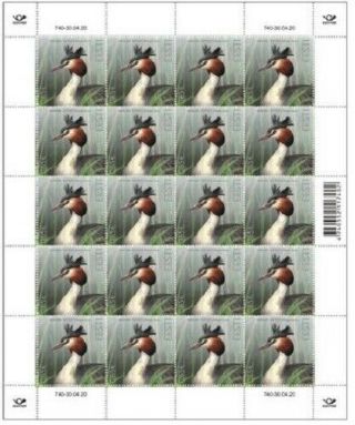 Stamp Sheet Of Estonia 2020 - Bird Of The Year – The Great Crested Grebe