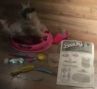 1979 Barbie Doll Pets Accessories Dog Beauty Afghan Hound W/ Instructions & Box