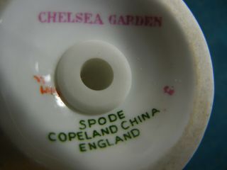 Copeland Spode Chelsea Garden R9781 Salt amd Pepper Shaker Set 3
