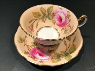 Foley Yellow Hand Painted Cabbage Rose Tea Cup & Saucer Signed By A Taylor V2955