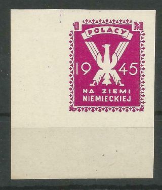 Poland,  Camp Helmstedt,  Fi:1b,  Label With Large Margin,  Signed