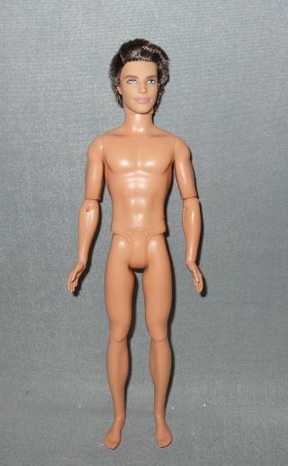 2009 Barbie Ken Fashionista Articulated Ryan Doll With Rooted Brunette Hair