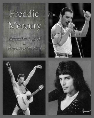 Freddie Mercury 1946 - 1991 Queen Singer 8 X 10 Glossy Poster Print