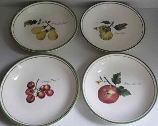 Set 4 Retired Williams Sonoma Portugal Heirloom Tomatoes Soup Pasta Bowls 9 3/8 "