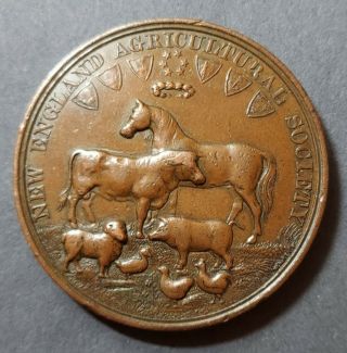 1880 England Agricultural Society Award Medal