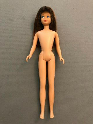 1964 Brunette Streaked Hair Straight Leg Skipper Doll Vintage Barbie