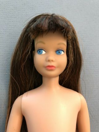1964 Brunette streaked hair Straight Leg SKIPPER DOLL vintage Barbie 2