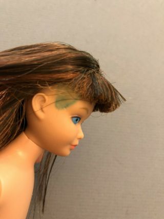1964 Brunette streaked hair Straight Leg SKIPPER DOLL vintage Barbie 3
