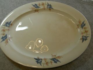 Harker Pottery Bluebird Blue Bird China Platter c.  1890 - 1920 2