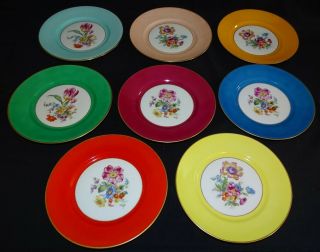 Richard Ginori Italy Set Of 8 Salad Plates Multi - Color With Floral Center 7 3/4 "