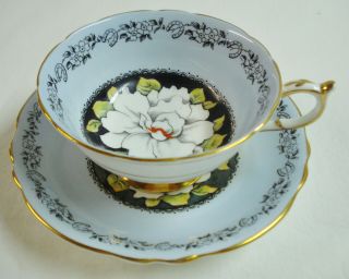 Paragon Bone China Teacup & Saucer Floating Gardenia Horseshoe Trim Blue Cup