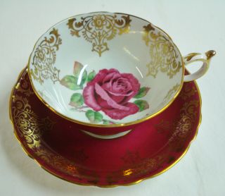 Paragon Teacup Saucer Floating Cabbage Rose Burgundy Cup Double Warrant
