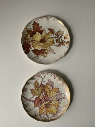 2 Brown Westhead Moore Antique Floral & Gold Gilded English Plates 8” Set Of 2