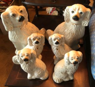 Set 6 Antique Staffordshire Poodle Spaniel Dog Pup Figure Figurine English 12”