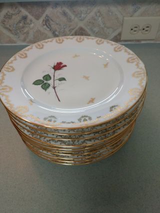 Set Of 10 Antique French Limoges Porcelaine Dinner Plates,  Red Rose Gold Trim