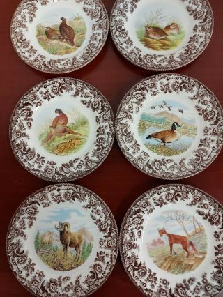 Spode Woodland Set Of 6 Salad Plates Includes 4 Birds Fox,  Sheep