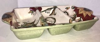 NWT Pier 1 Carynthum Earthenware Divided Server Relish Dish Party Platter 3