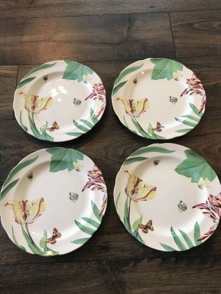 Set Of 4 Floral Haven Spode For Williams - Sonoma Dinner Plates 10 3/8 "