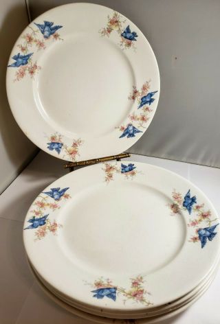 Antique Bluebird 5 Plates Harker Pottery Co 8.  75 " Blue Bird Plates Lunch Salad