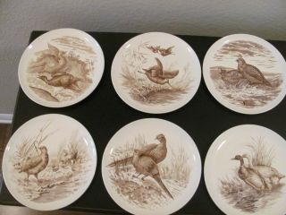 Vintage Brown Copeland Spode Wild Game Bird Plates (qty 10)