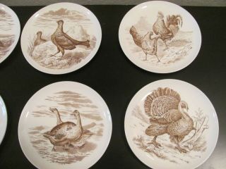 Vintage Brown Copeland Spode Wild Game Bird Plates (Qty 10) 2