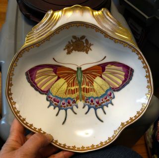 Stunning Mottahedeh Vista Alegre Butterfly Shell Dish/bowl