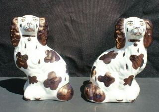 Antique Vtg Staffordshire Spaniel Porcelain Dog Figurines 7 " Tall