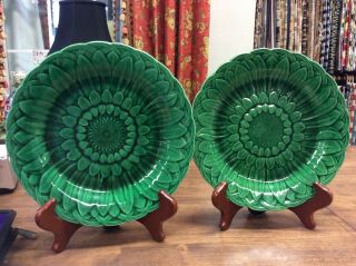 Antique Majolica Plates By Wedgwood