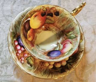 Aynsley England Hand Painted Orchard Fruits Tea Cup & Saucer Signed D.  Jones