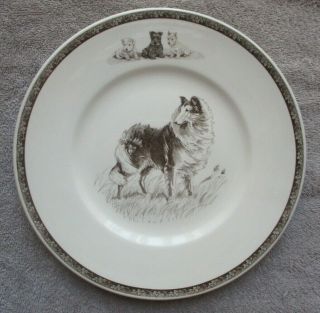 Wedgwood Porcelain Plate - Highland Chief - Collie - Marguerite Kirmse Etching - 1923